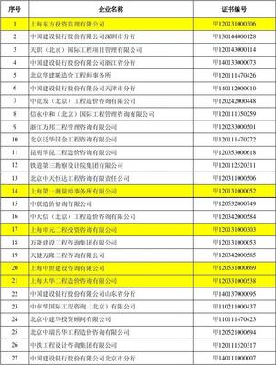 2013年度工程造价咨询企业造价咨询收入百名排序名单